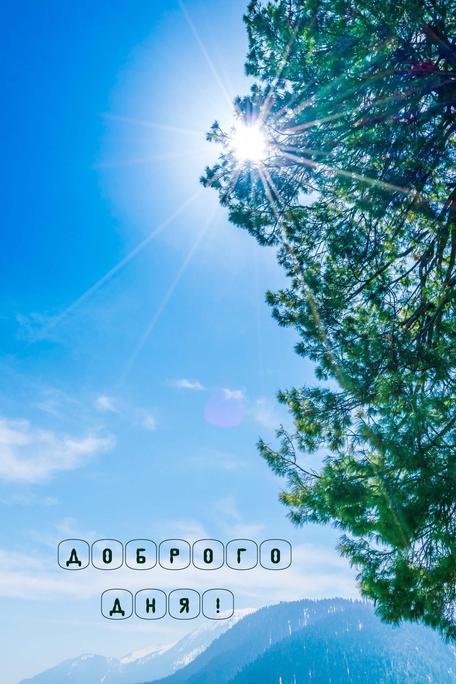 Доброго дня!