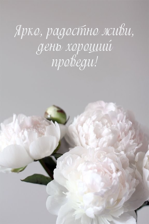 Ярко, радостно живи, день хороший проведи!