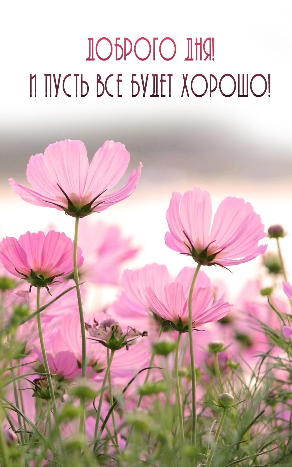 Доброго дня! И пусть все будет хорошо!