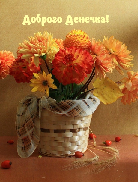 Доброго Денечка!