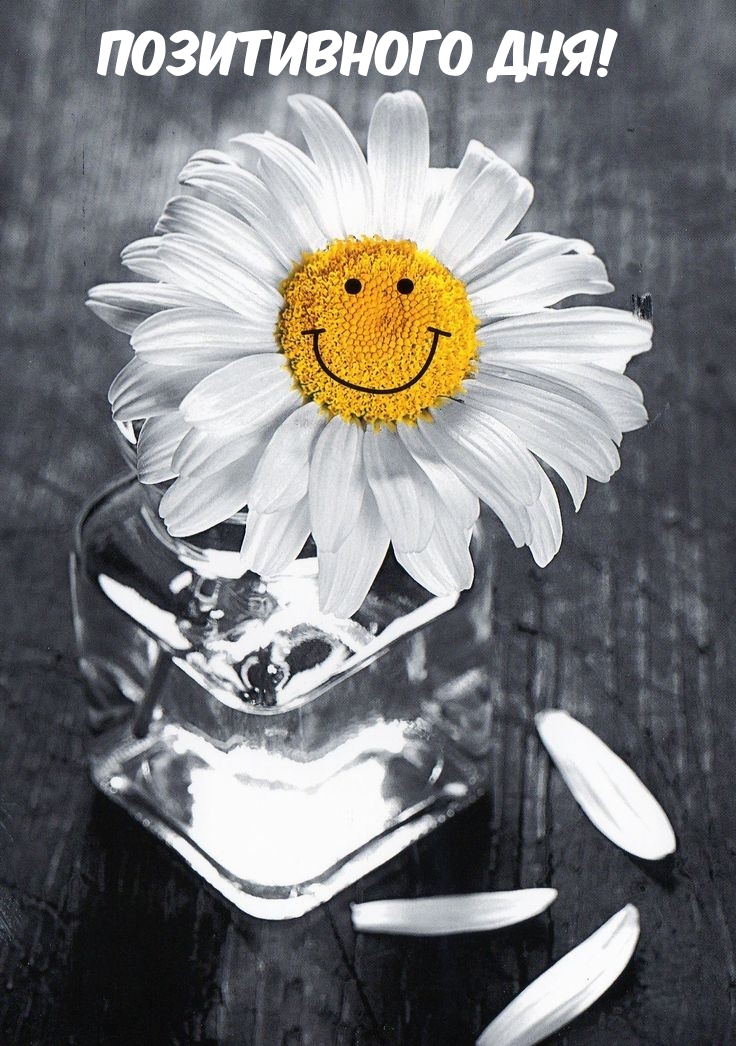 Позитивного дня!