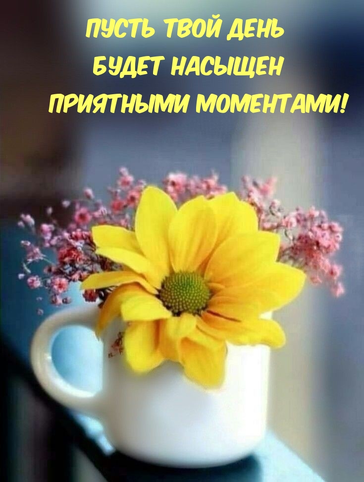 Пусть твой день будет насыщен приятными моментами!