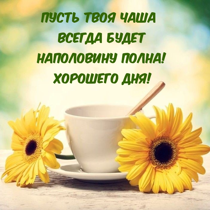 Пусть твоя чаша всегда будет наполовину полна! Хорошего дня!