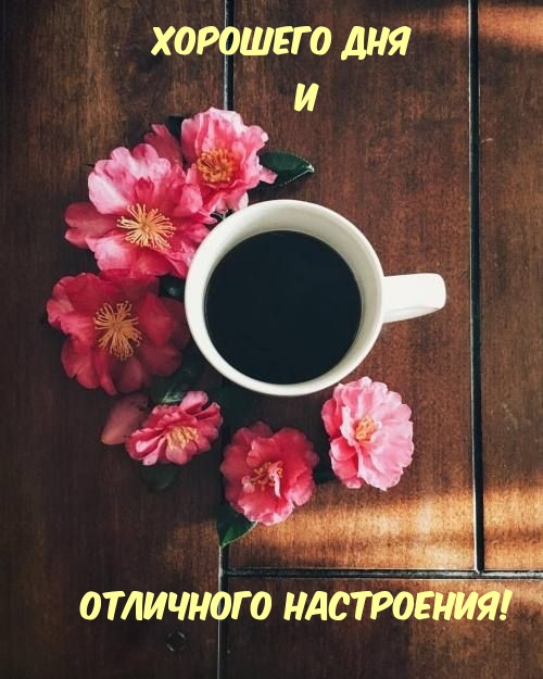 Хорошего дня и отличного настроения!