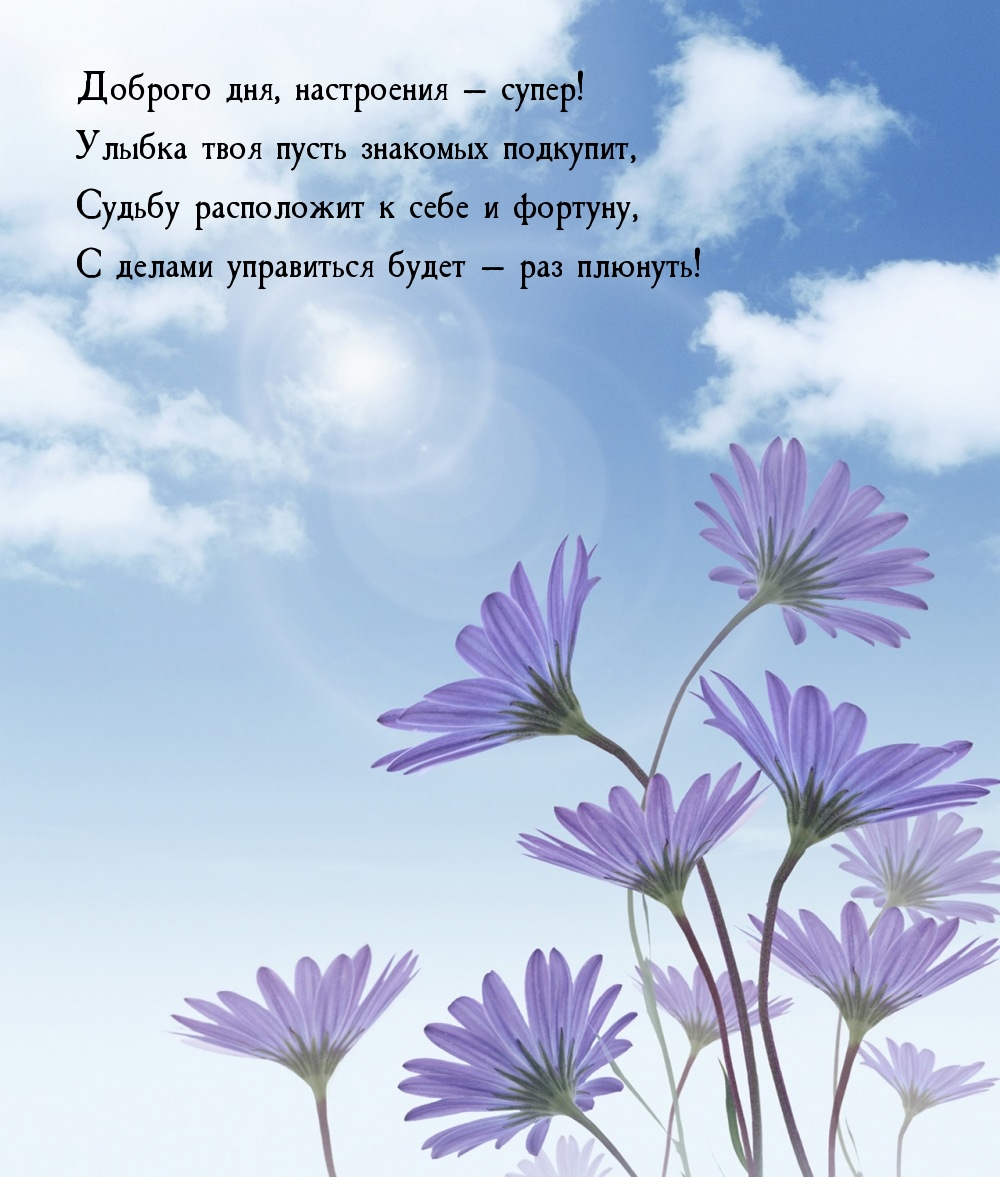 Доброго дня, настроения — супер! Улыбка пусть знакомых подкупит