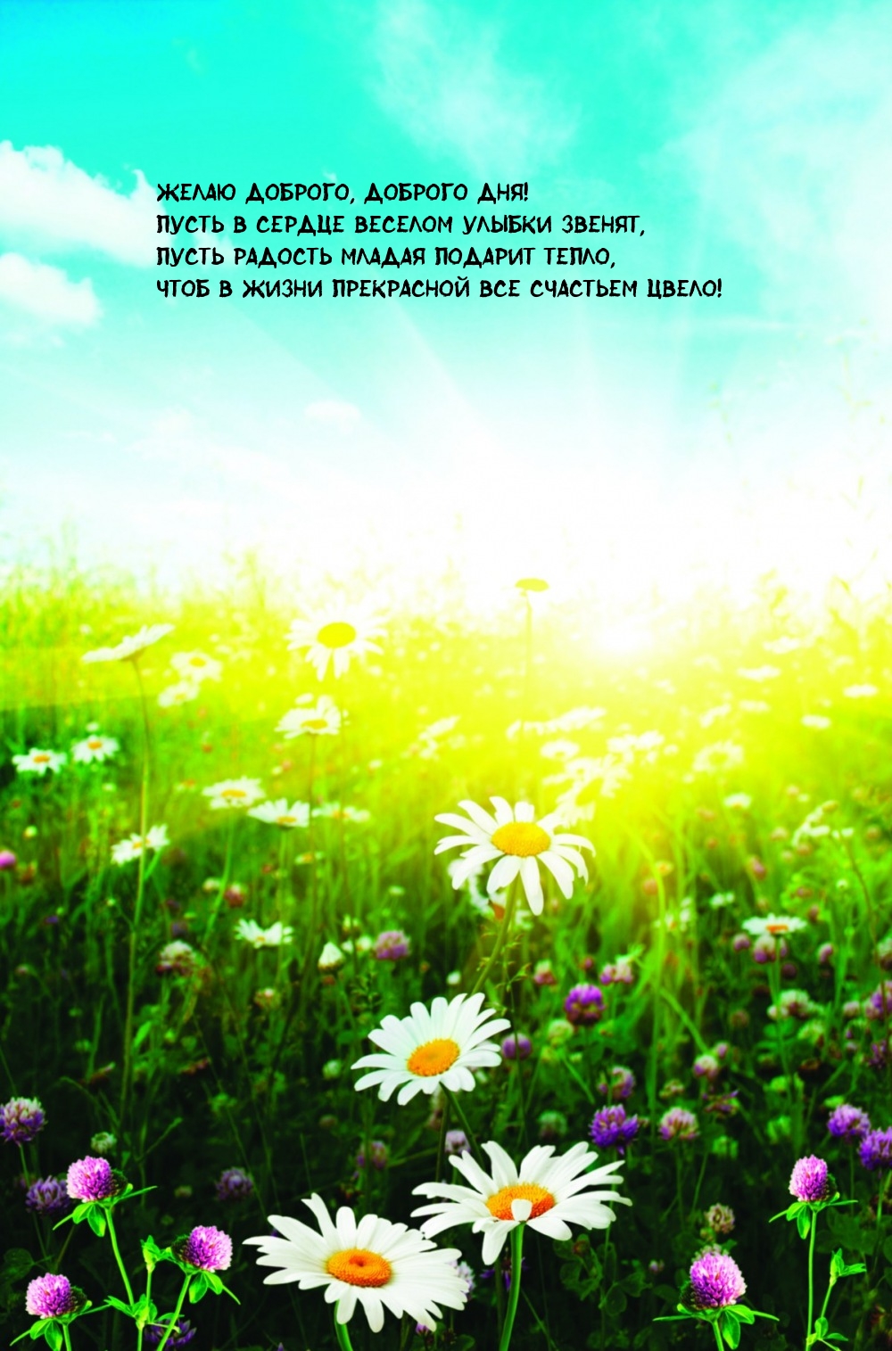 Желаю доброго, доброго дня! Пусть в сердце веселом улыбки звенят