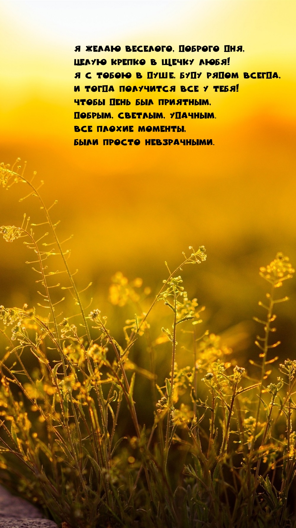 Я желаю веселого, доброго дня, целую крепко в щечку любя!