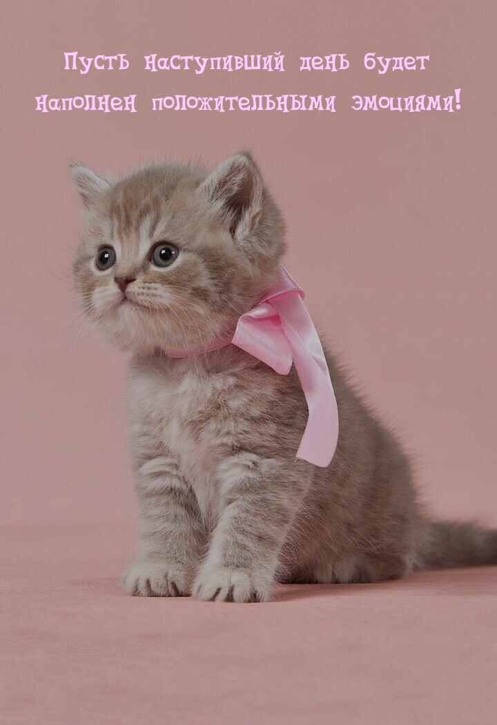 Пусть наступивший день будет наполнен положительными эмоциями!
