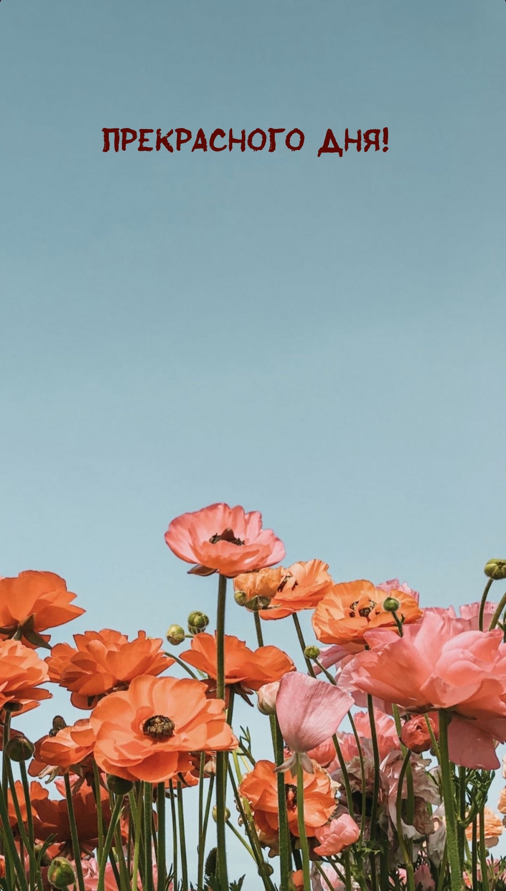 Прекрасного дня!