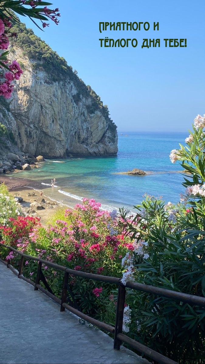 Приятного и тёплого дня тебе!