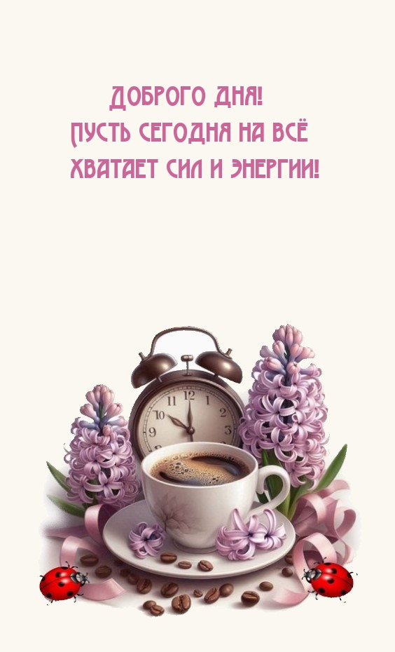 Доброго дня! Пусть сегодня на всё хватает сил и энергии!