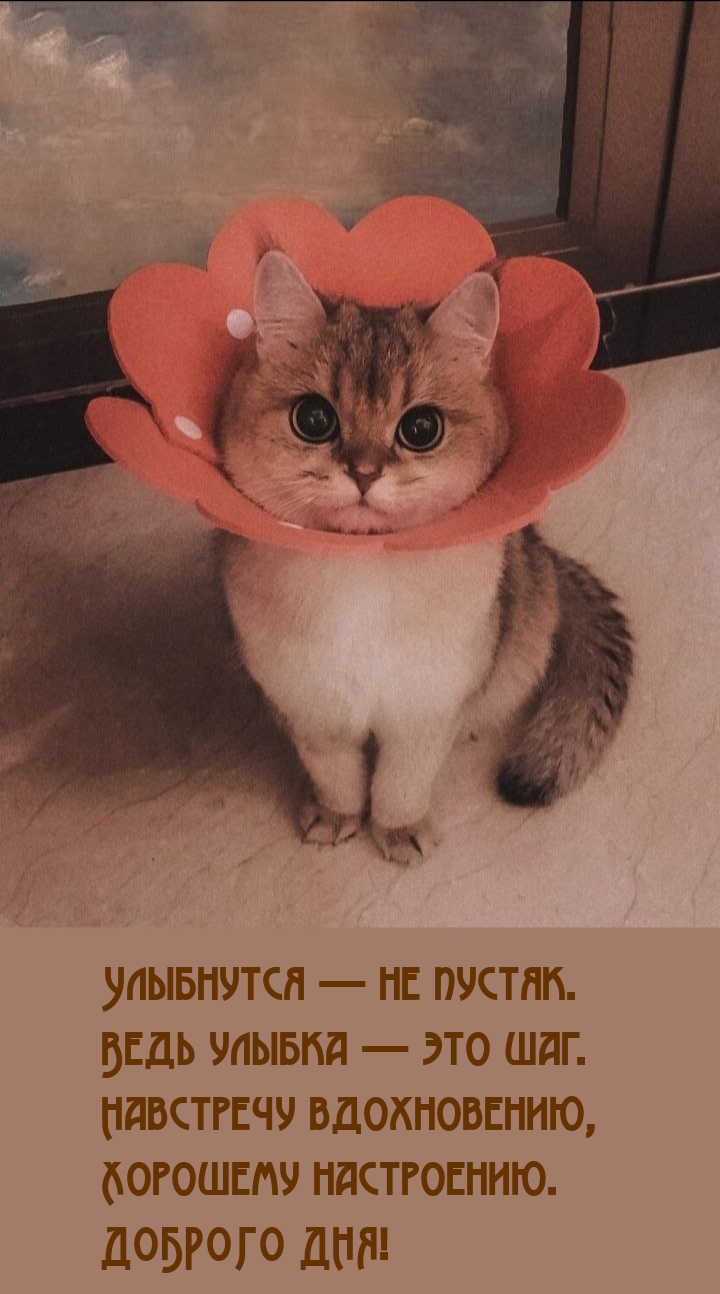 Хорошему настроению. Доброго дня! Улыбнутся — не пустяк.