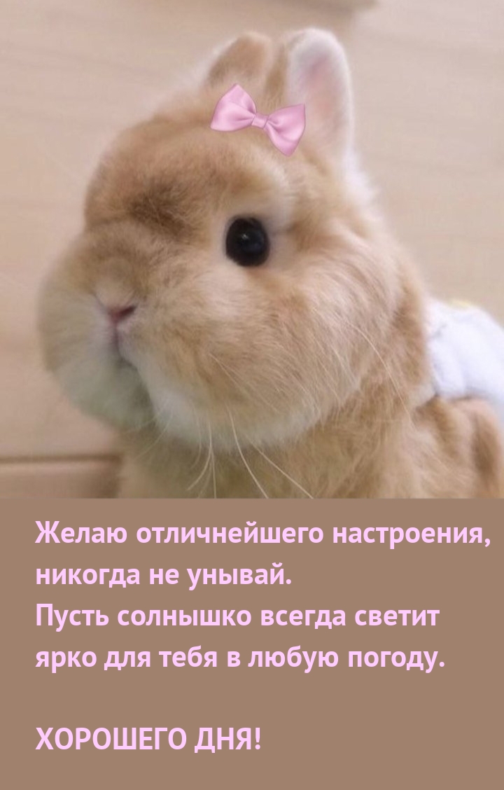 Желаю отличнейшего настроения, никогда не унывай. Хорошего дня!