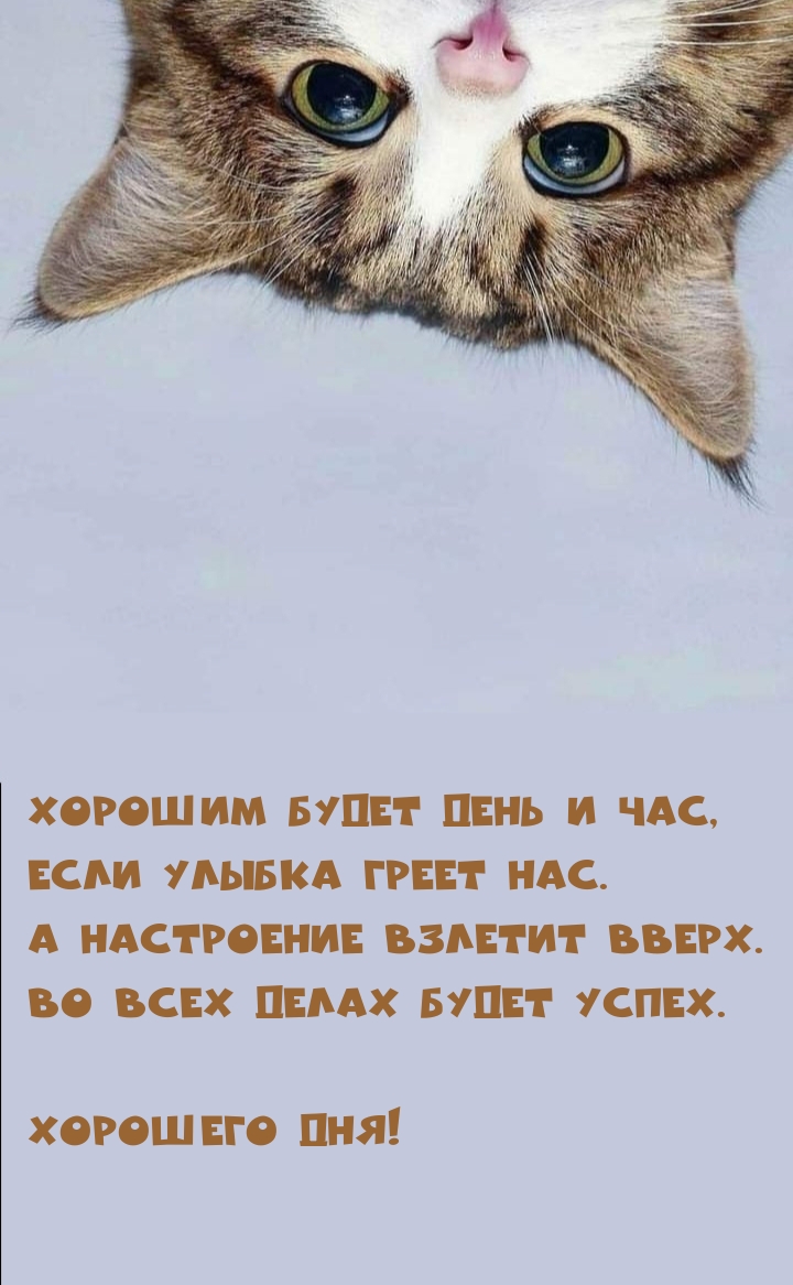 Хорошего дня! Хорошим будет день и час