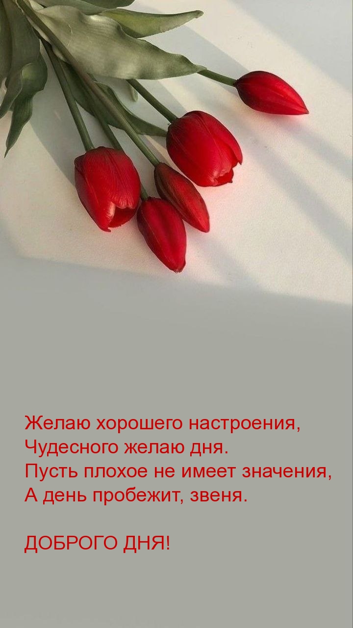 Доброго дня! Желаю хорошего настроения, чудесного желаю дня.