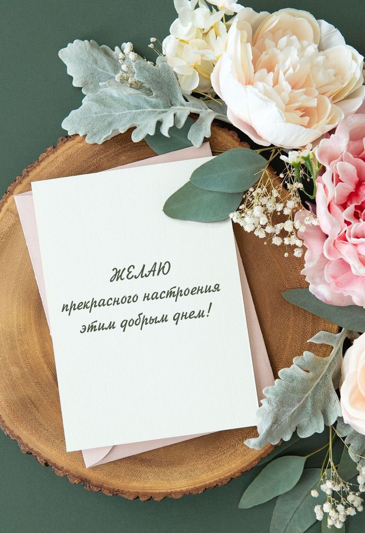 Желаю прекрасного настроения этим добрым днем!