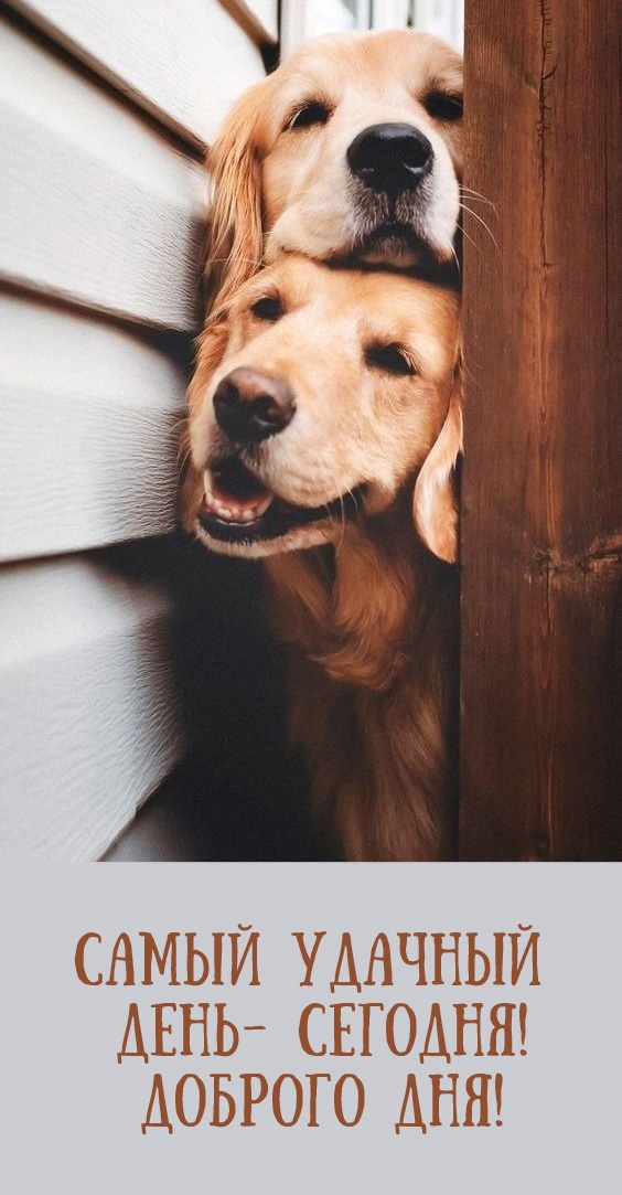 Самый удачный день - сегодня! Доброго дня!
