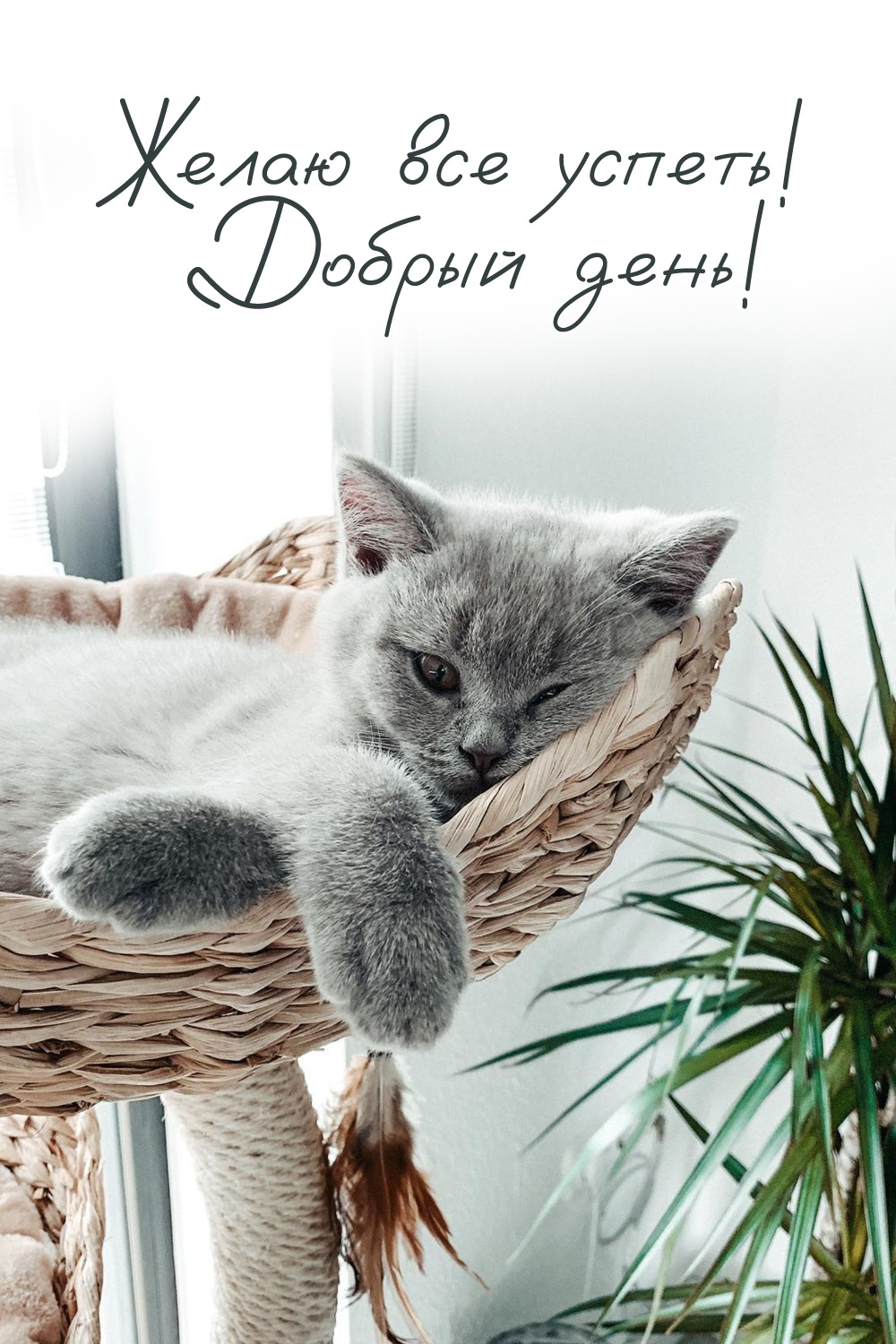 Желаю все успеть! Добрый день!