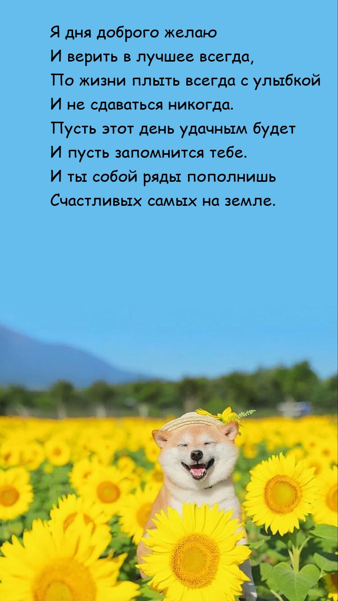 Я дня доброго желаю и верить в лучшее всегда