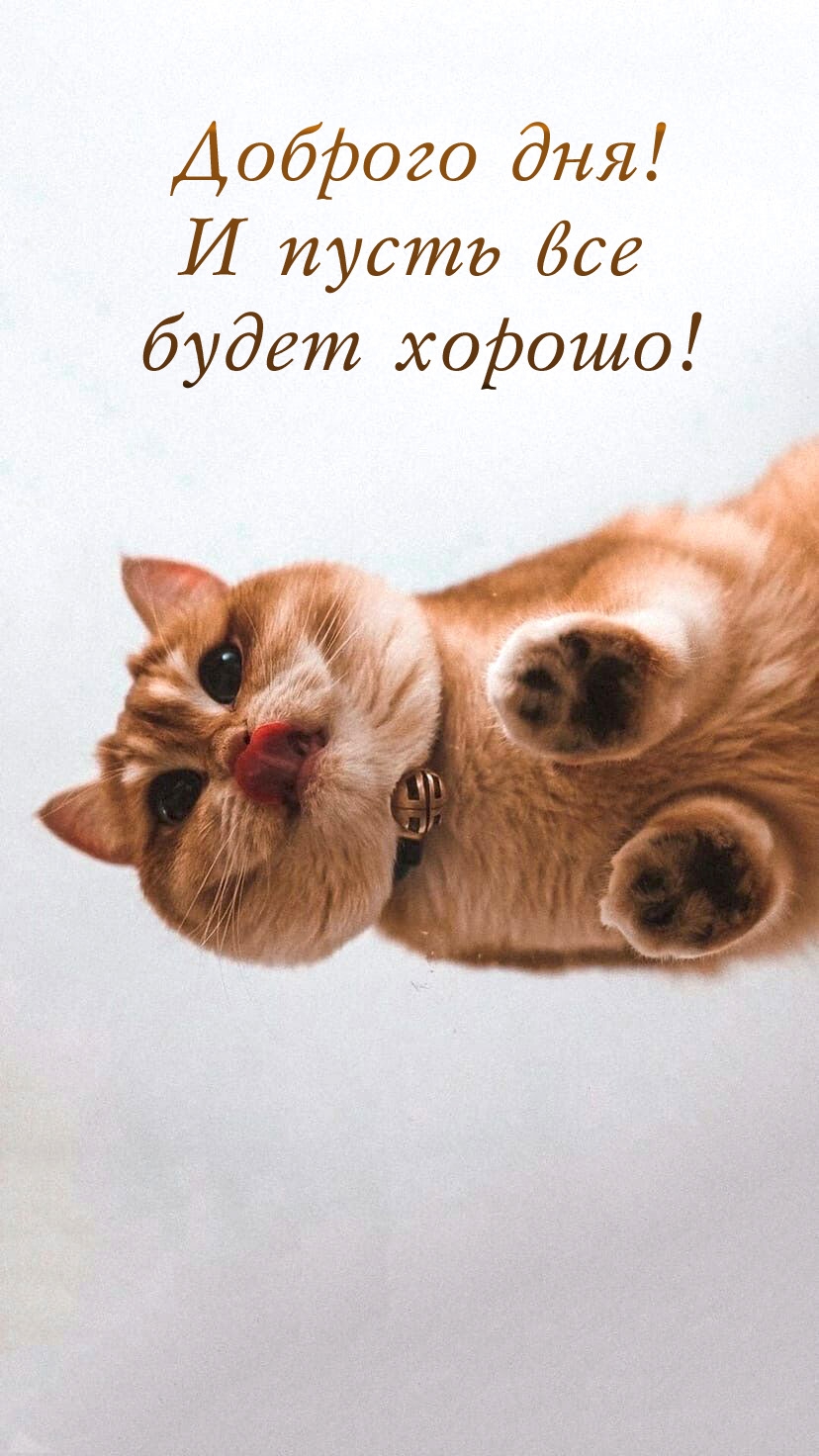 Доброго дня! И пусть все будет хорошо!