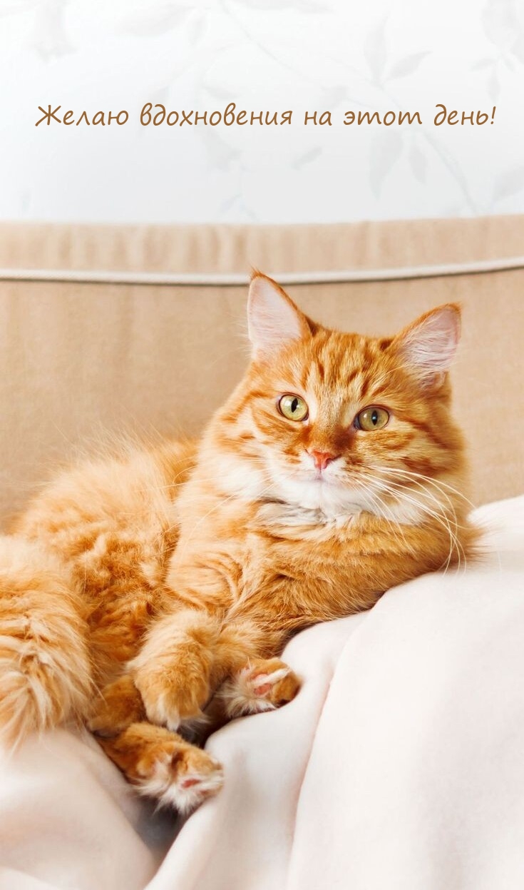 Желаю вдохновения на этот день!