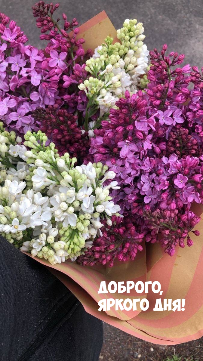 Доброго, яркого дня!