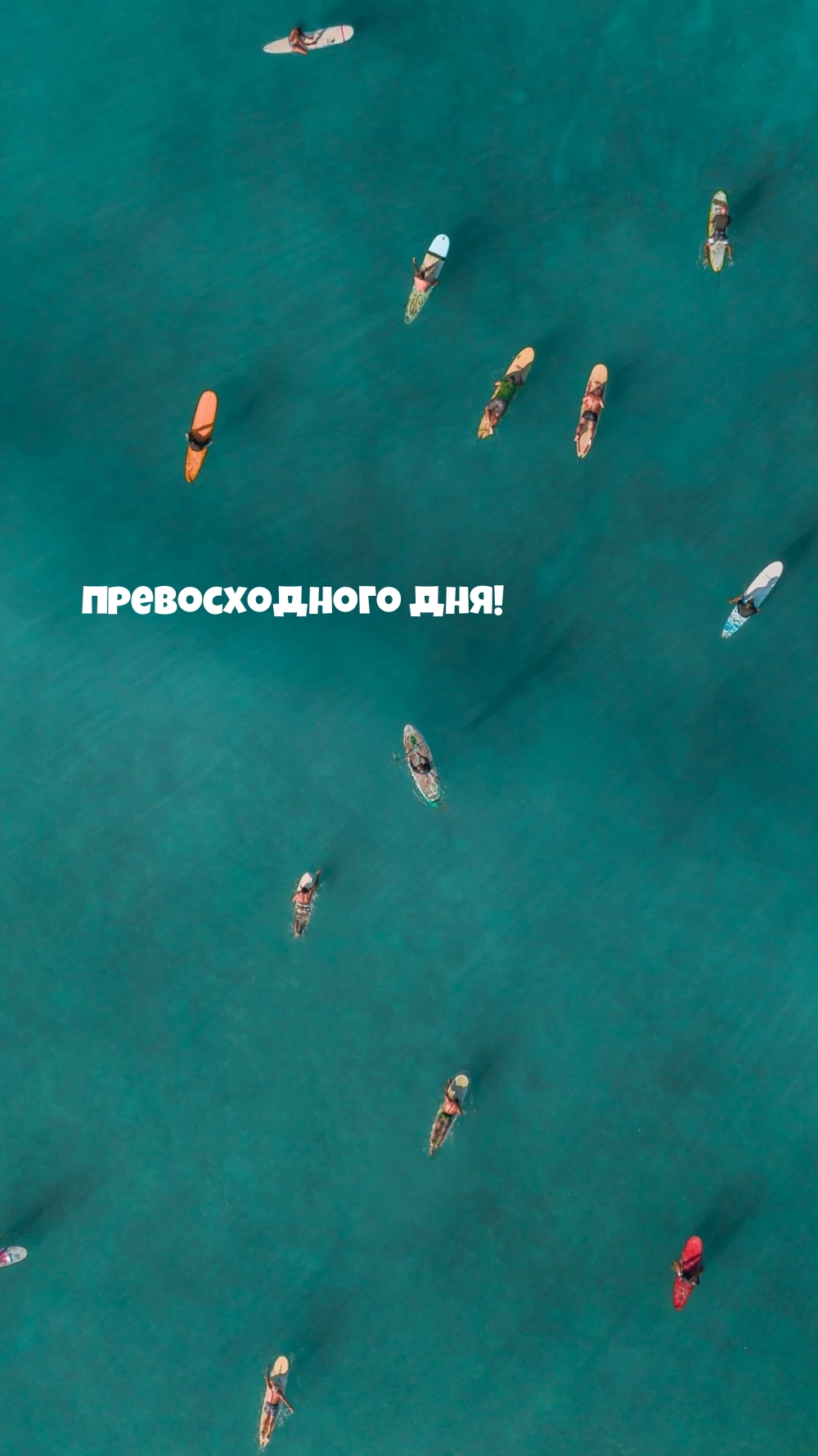 Превосходного дня!