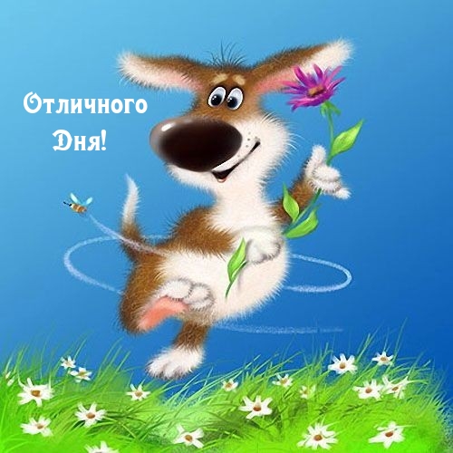 Отличного Дня!