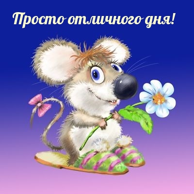 Просто отличного дня!