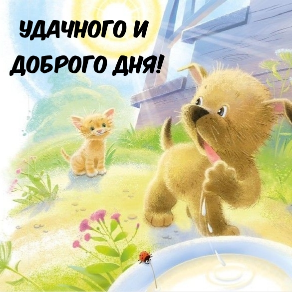 Удачного и Доброго дня!