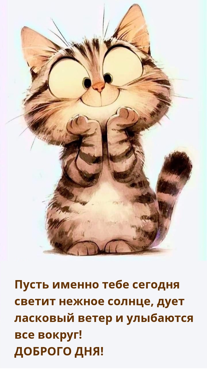Доброго дня! Пусть именно тебе сегодня светит нежное солнце