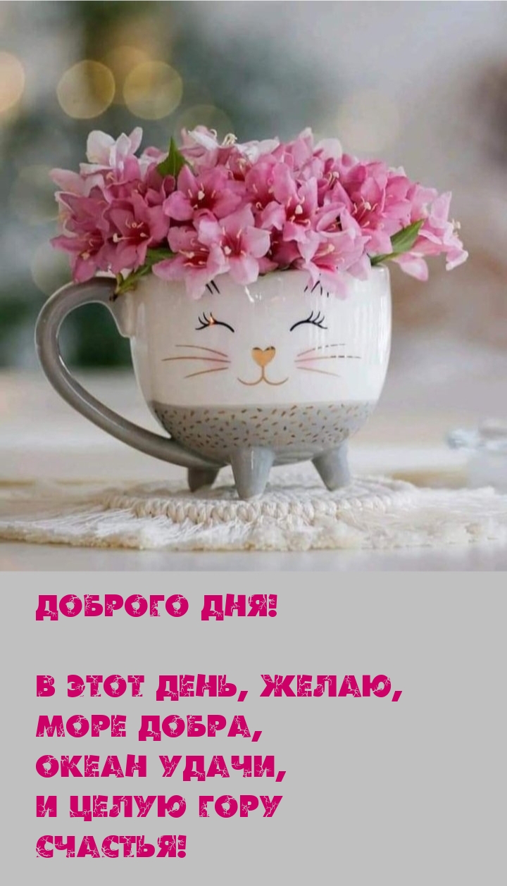 Доброго дня! В этот день, желаю, море добра