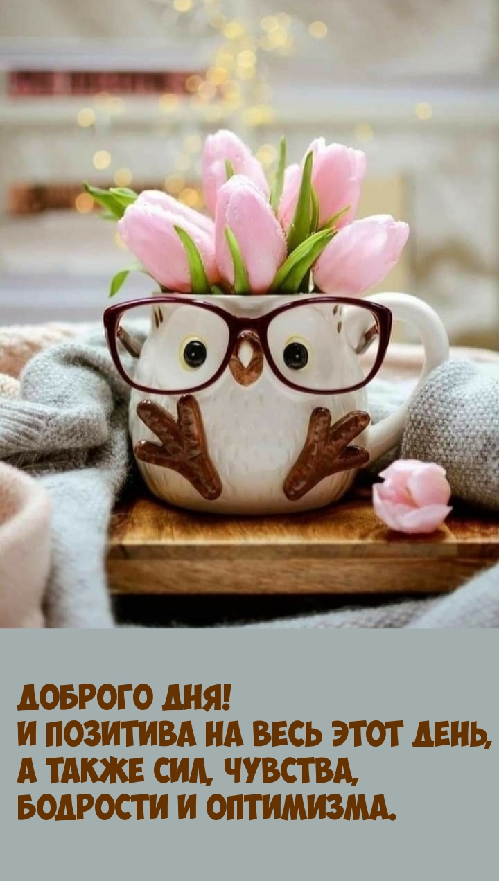 Доброго дня! И позитива на весь этот день