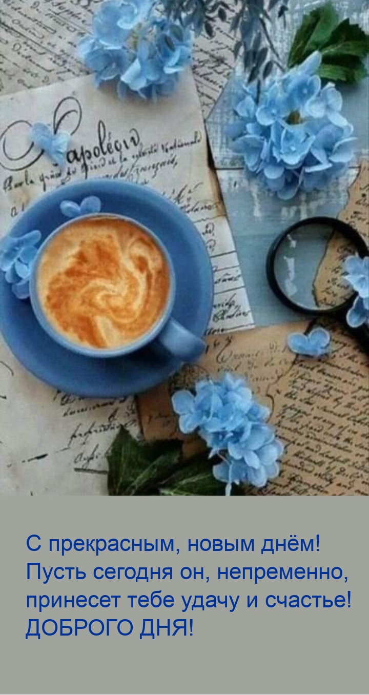 С прекрасным, новым днём! Пусть сегодня он принесет удачу 
