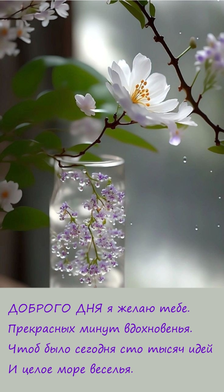 Доброго дня я желаю тебе. Прекрасных минут вдохновенья.
