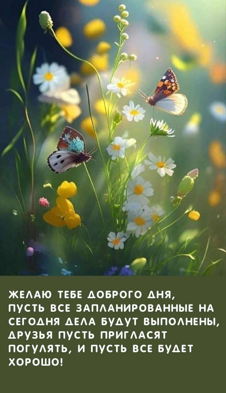 Желаю тебе доброго дня Друзья пусть пригласят  погулять