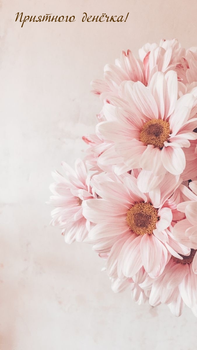 Приятного денёчка!