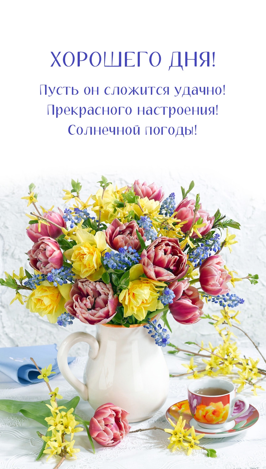 Хорошего дня! Пусть он сложится удачно! Прекрасного настроения!