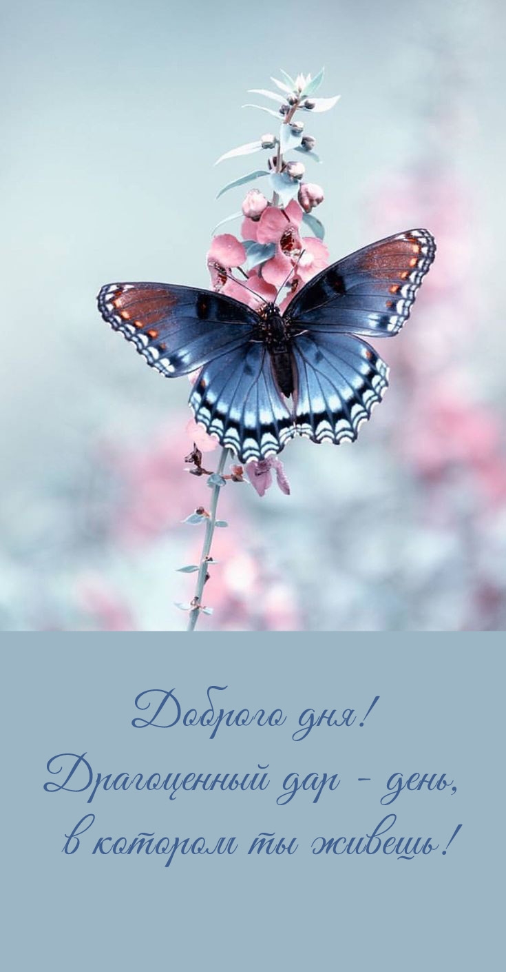 Доброго дня! Драгоценный дар - день, в котором ты живешь!