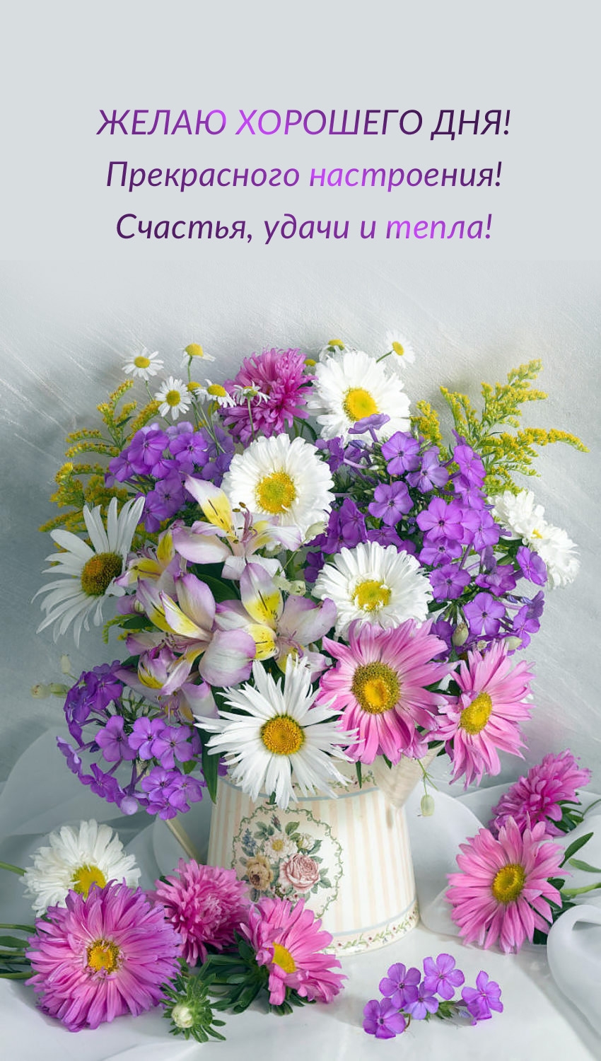 Хорошего дня! Прекрасного настроения! Счастья, удачи и тепла!