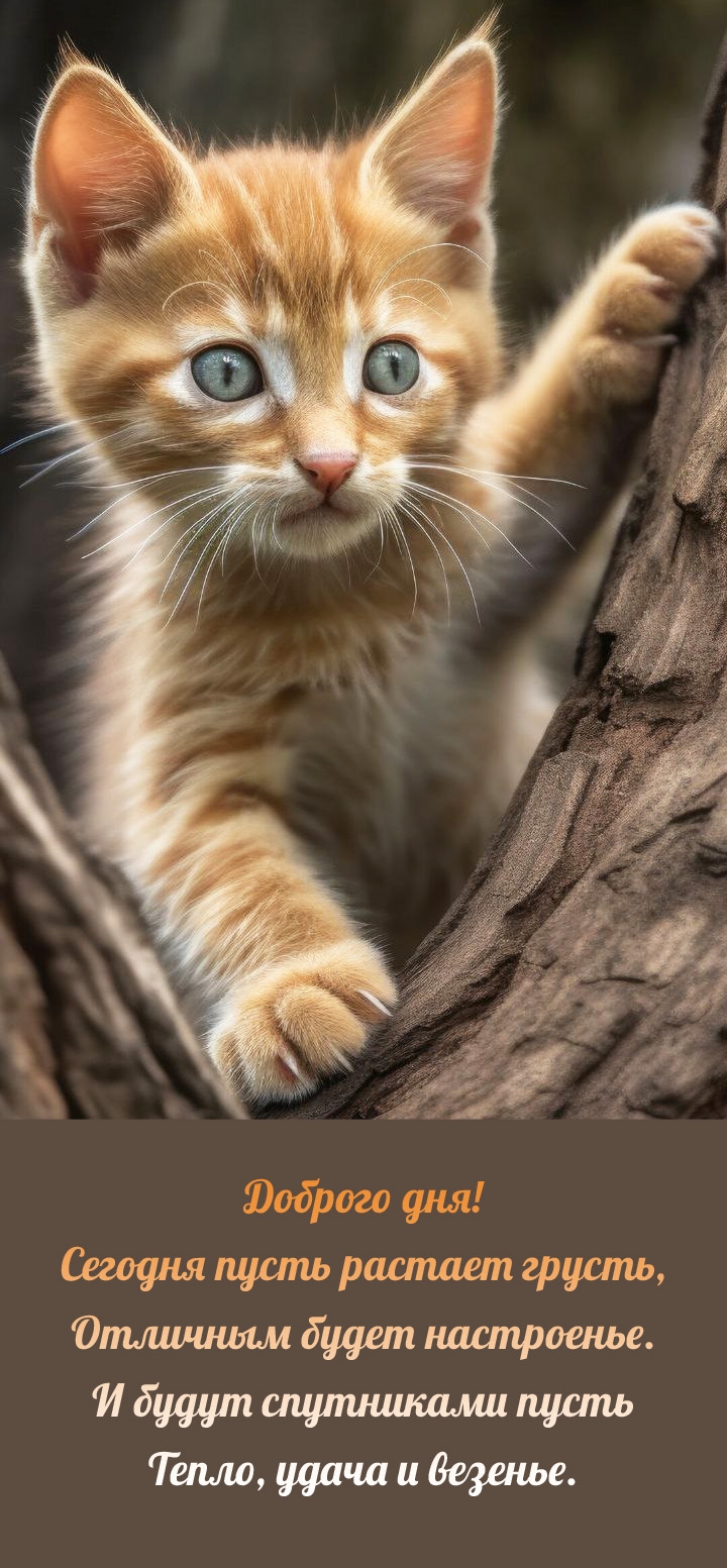 Доброго дня! Сегодня пусть растает грусть