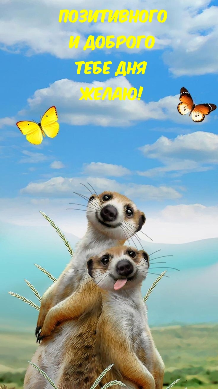 Позитивного и доброго тебе дня желаю!