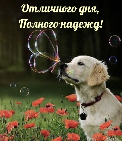 Отличного дня, Полного надежд!