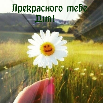 Прекрасного тебе дня!