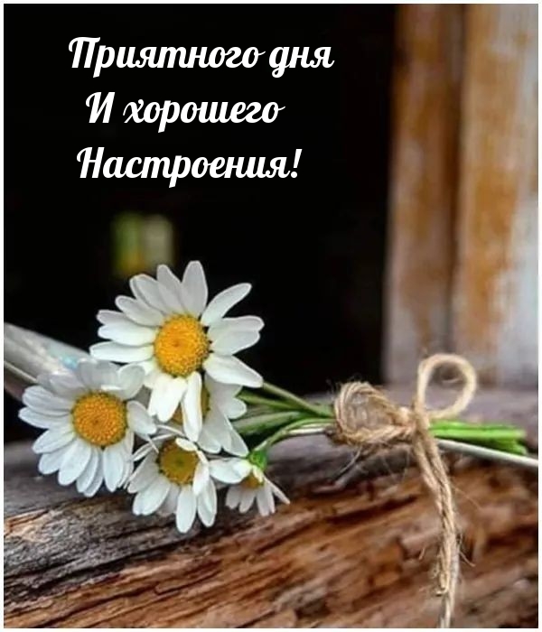 Приятного дня и хорошего настроения!