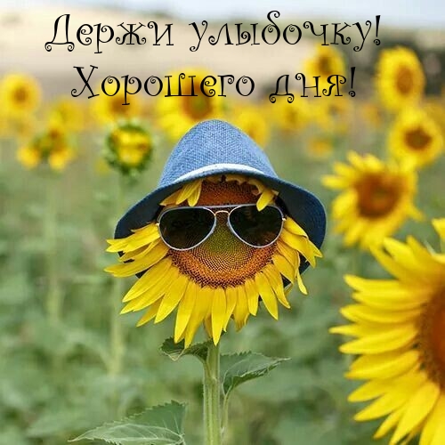 Держи улыбочку! Хорошего дня!