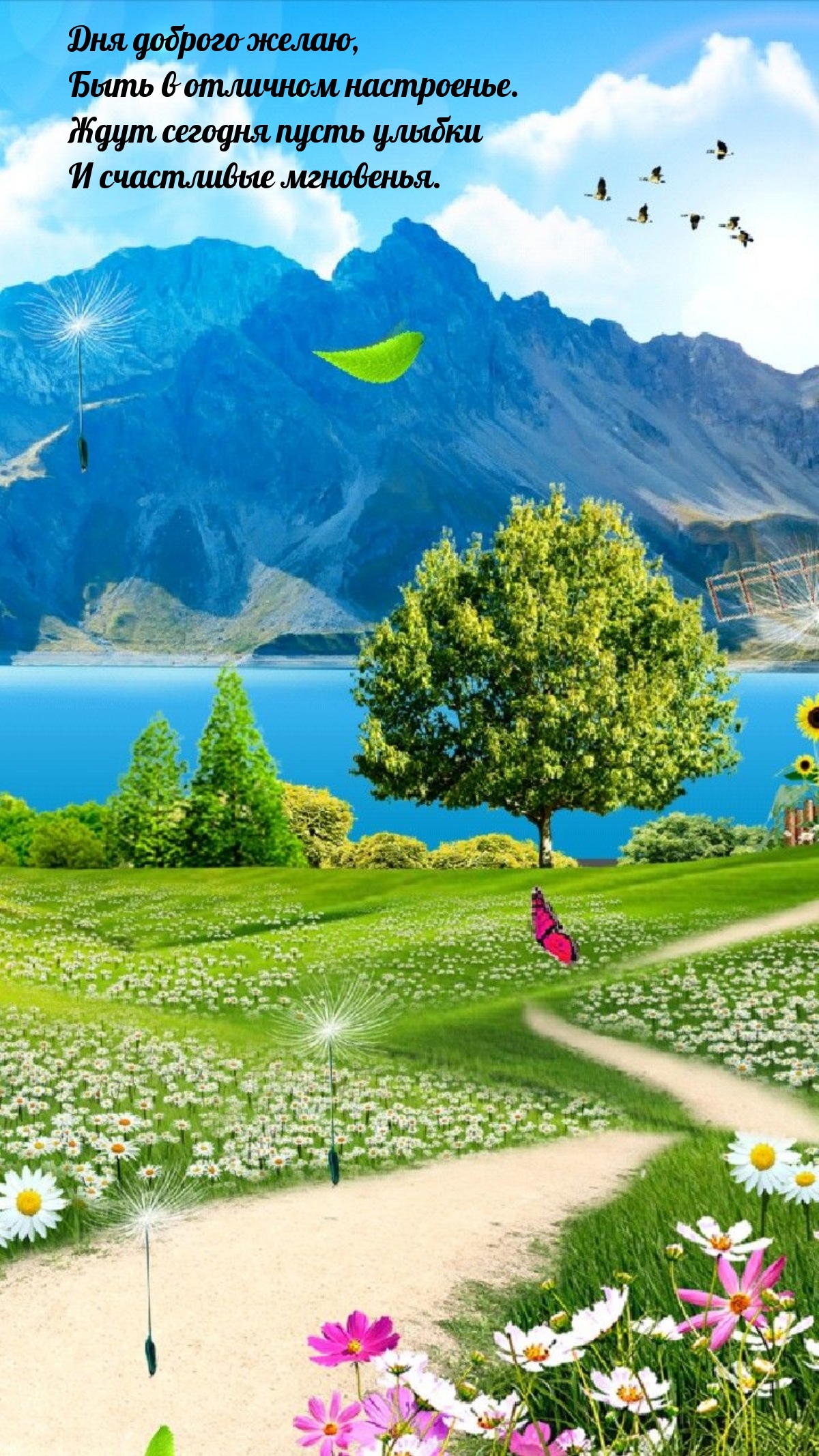 Дня доброго желаю, быть в отличном настроенье.