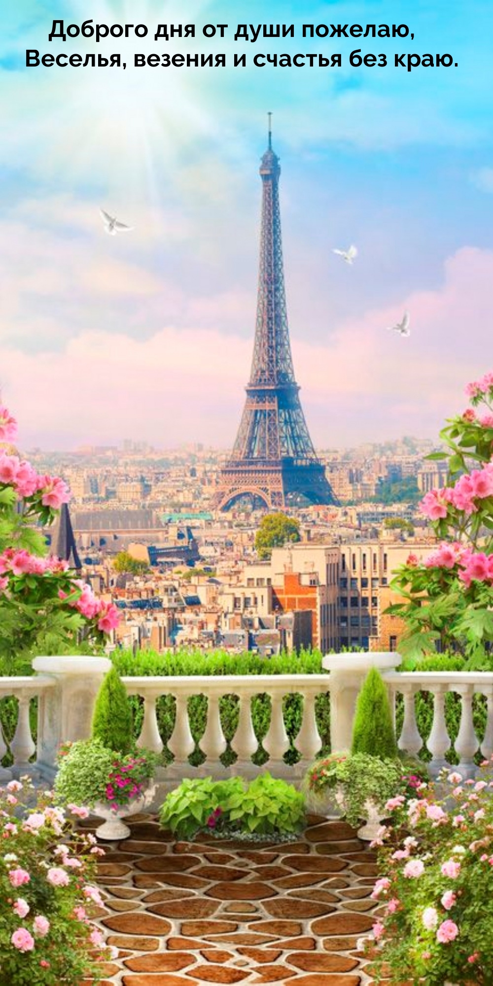 Доброго дня от души пожелаю, веселья, везения и счастья без краю.