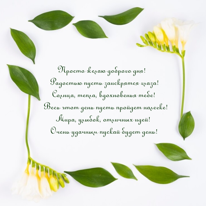 Просто желаю доброго дня! Радостью пусть заискрятся глаза!