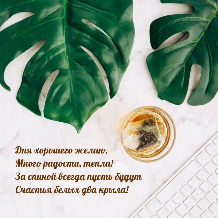 Дня хорошего желаю, много радости, тепла!